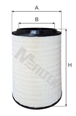 MFilter A 8019