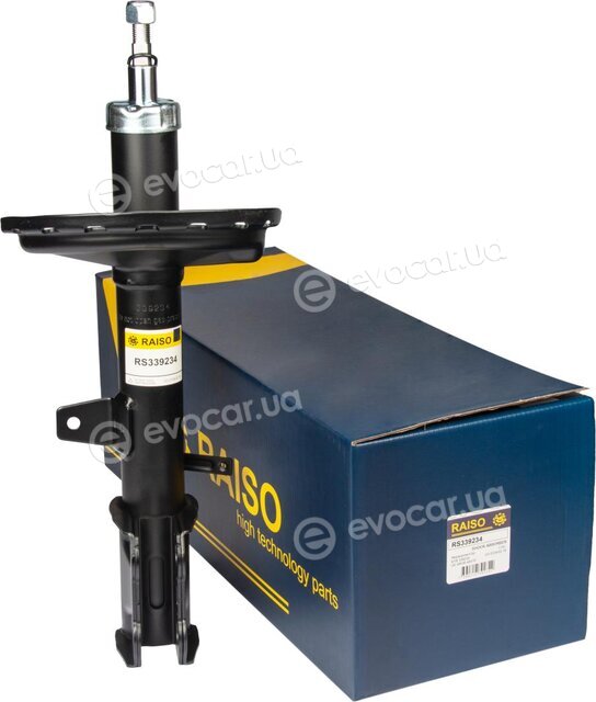 Raiso RS339234