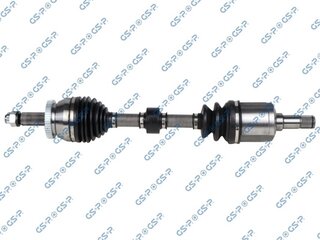 GSP 224460
