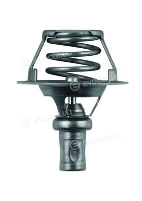 Mahle TX 66 91D