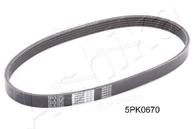 Ashika 112-5PK670