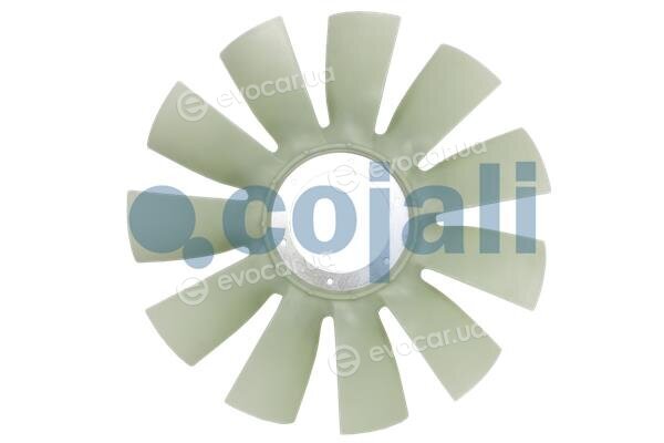 Cojali 7077114