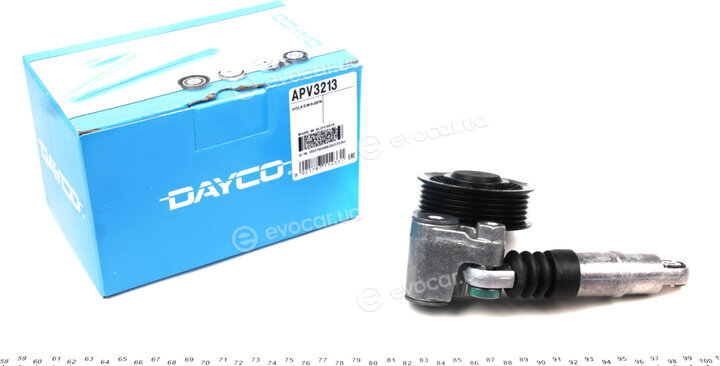 Dayco APV3213