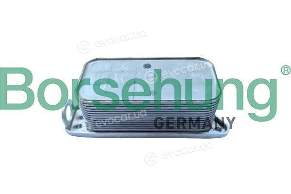 Borsehung B10884