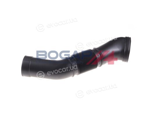 Bogap C1710127