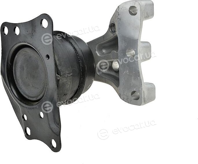 NTY ZPS-VW-038
