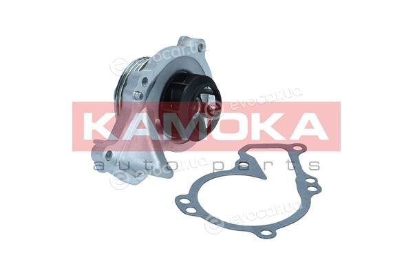 Kamoka T0295