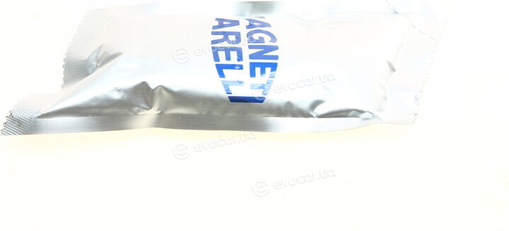 Magneti Marelli 302009100027