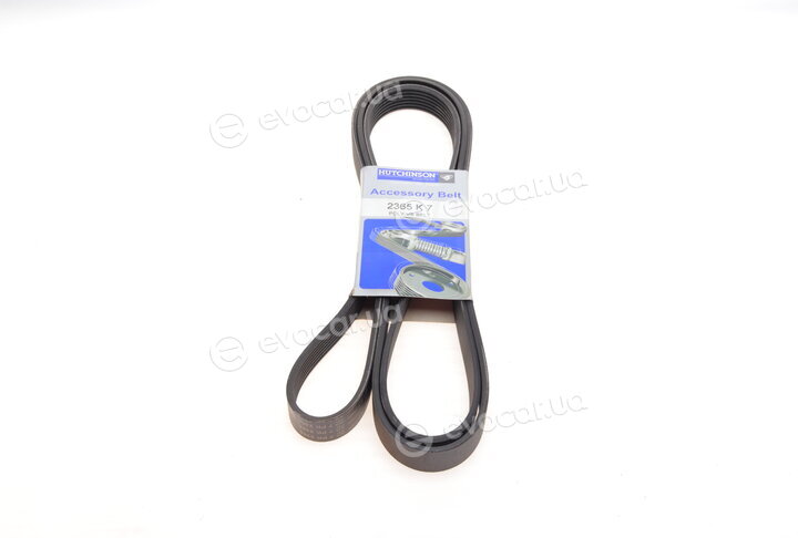 Hutchinson 2365 K 7