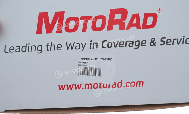Motorad 709-87/83K