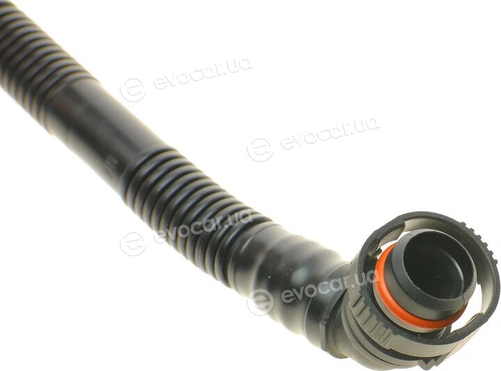 AIC 55543