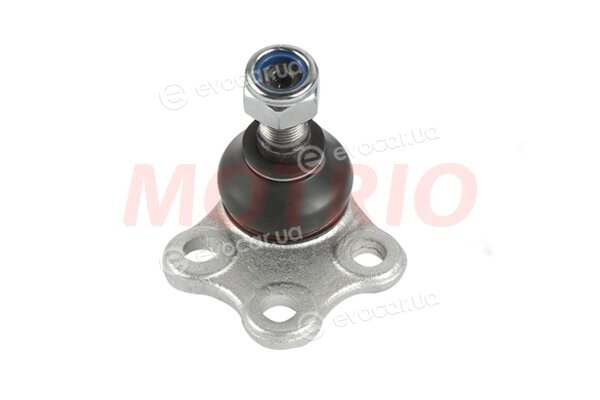 Motrio 8660005582