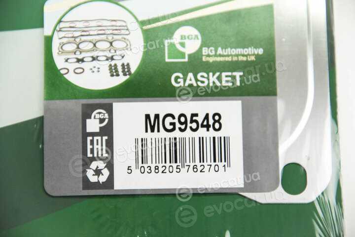 BGA MG9548