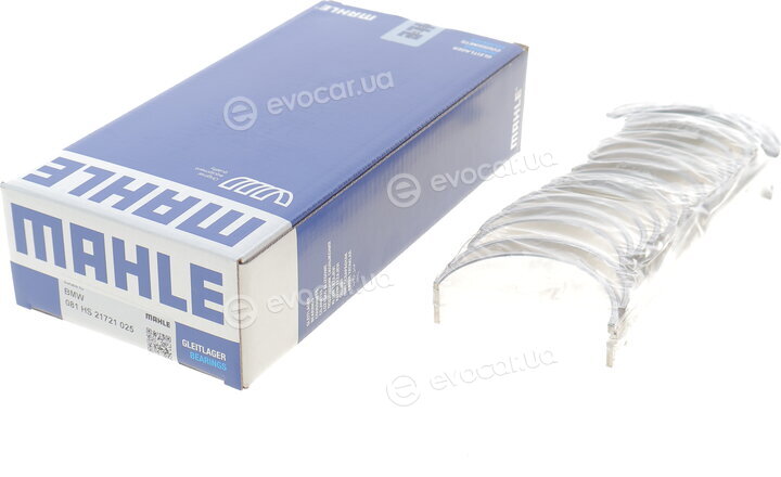 Mahle 081 HS 21721 025