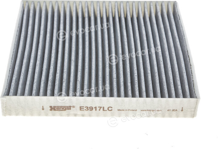 Hengst E3917LC