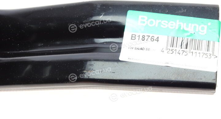 Borsehung B18764