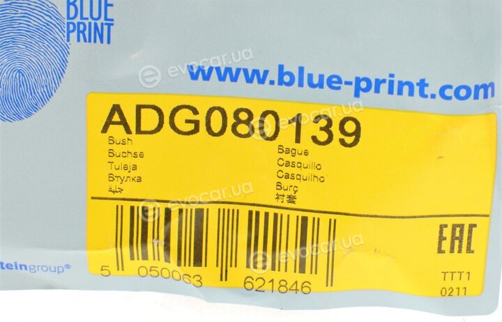 Blue Print ADG080139