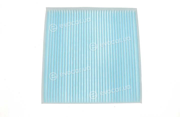 Blue Print ADG02598