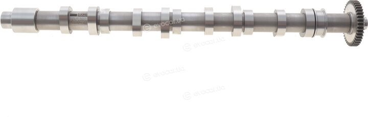 Borsehung B12523