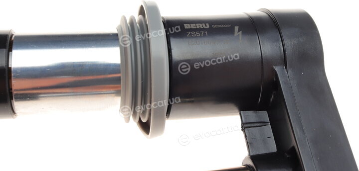 Beru ZS571