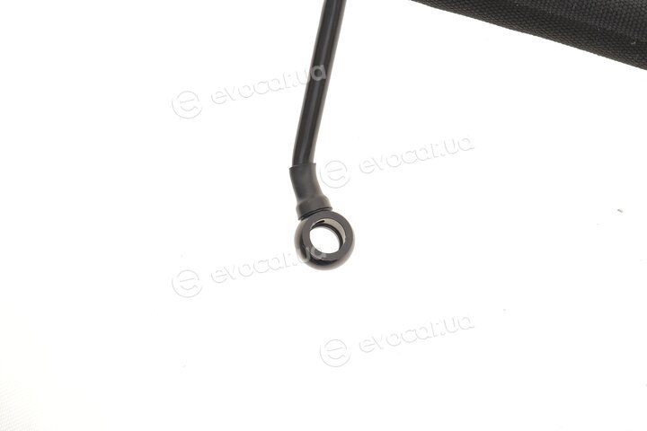 AIC 55527