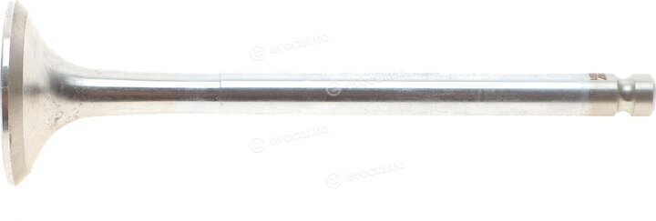 Mahle 007 VA 30551 100