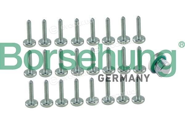 Borsehung B12749