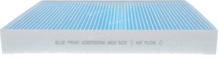Blue Print ADBP250006