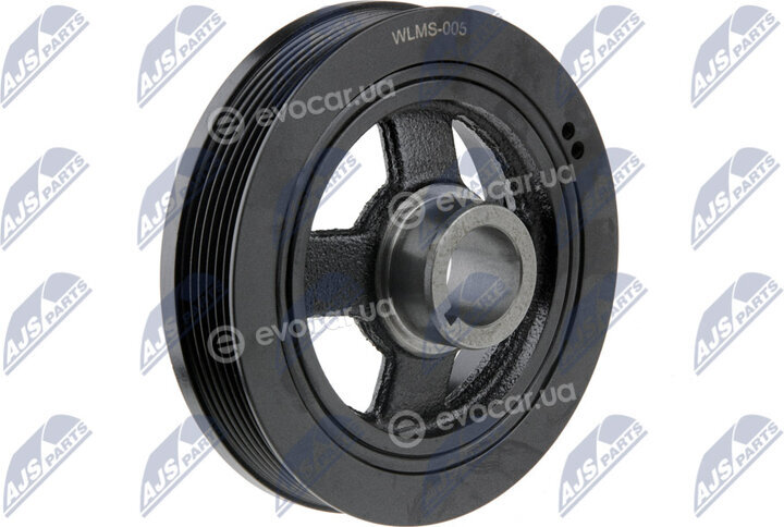 NTY RKP-MS-005