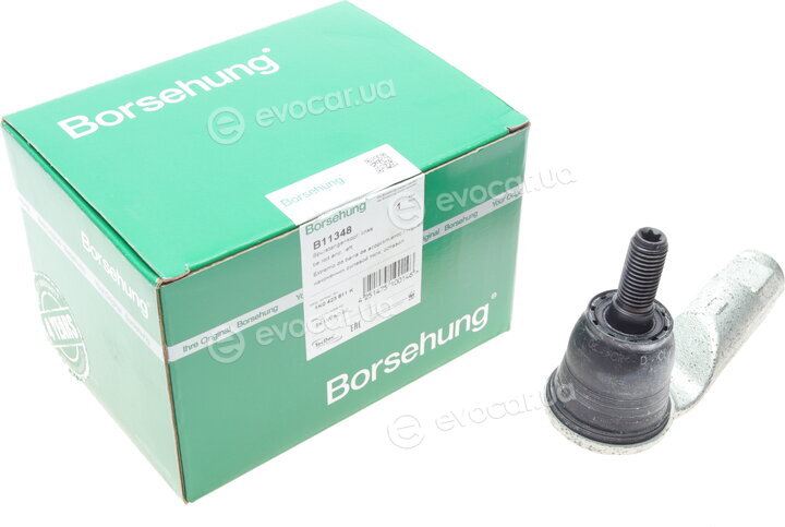 Borsehung B11348