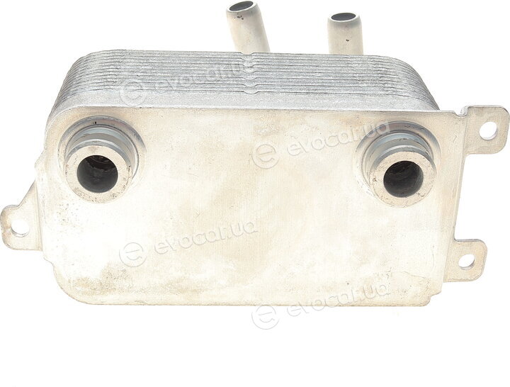 Bogap B4222105