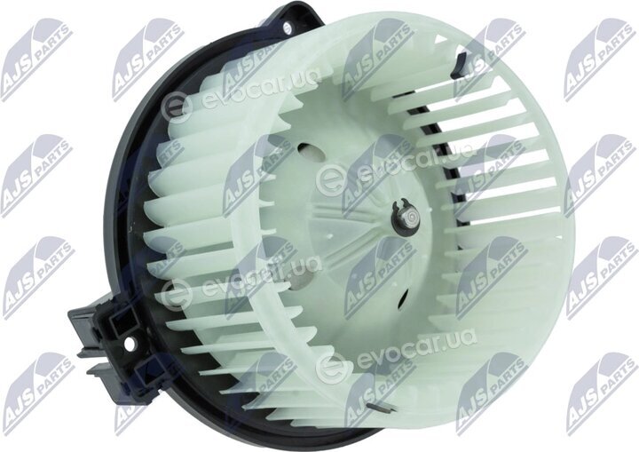 NTY EWN-MS-005