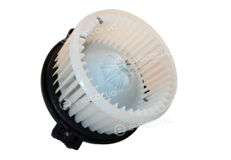 Walker / Fonos WBL00871