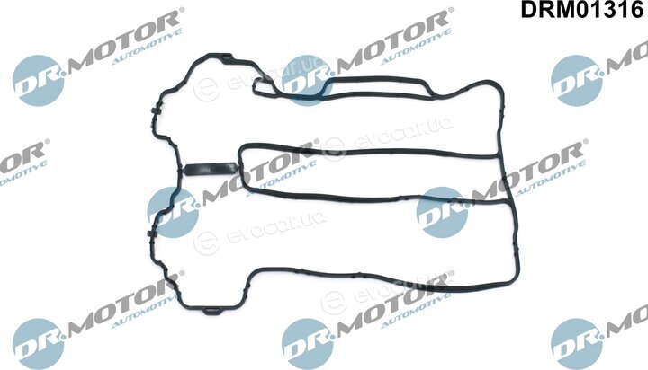 Dr. Motor DRM01316