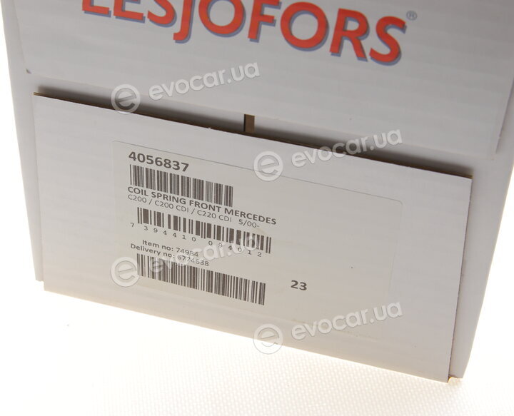 Lesjofors 4056837
