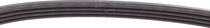 Continental 4PK611