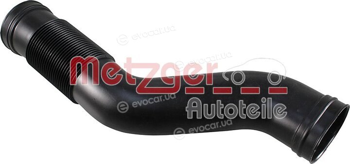 Metzger 2388079