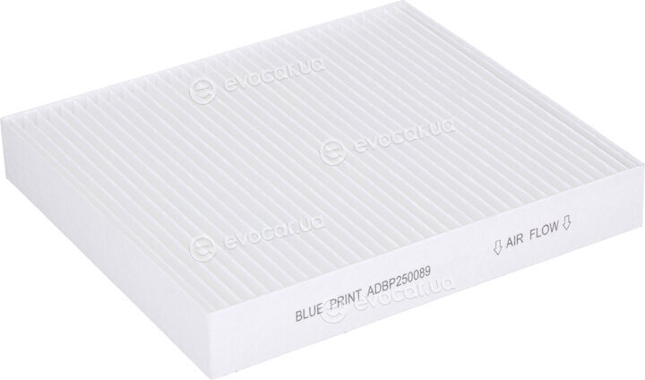 Blue Print ADBP250089