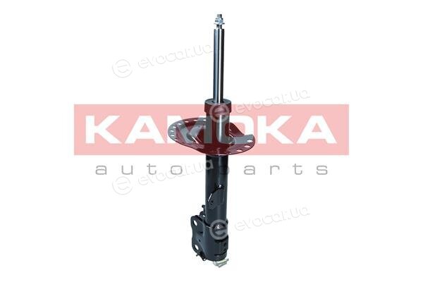 Kamoka 2001106
