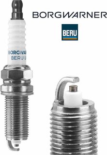 BorgWarner Z273