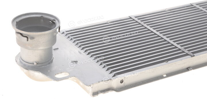 Van Wezel 58004233