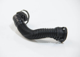 Rapro R25955