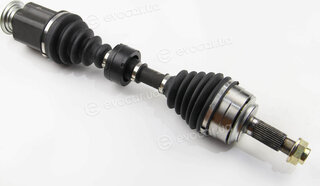 BGA DS2520R
