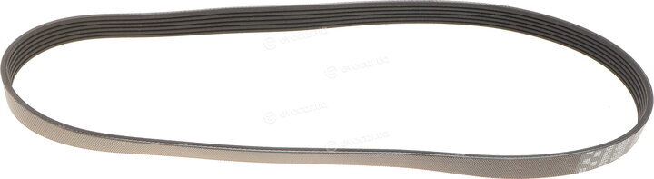 Gates 6PK1019SF