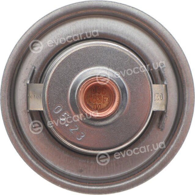 Motorad 304-84K