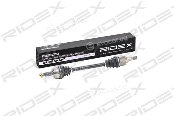 Ridex 13D0221