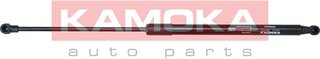 Kamoka 7092020
