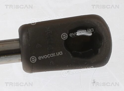 Triscan 8710 67205