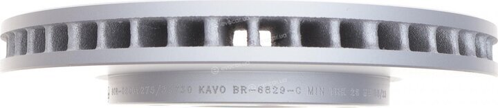 Kavo BR-6829-C