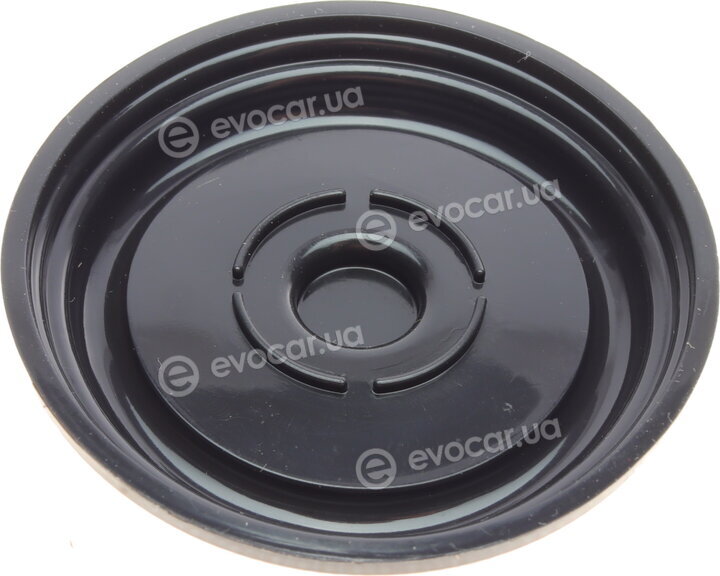 Solgy 124003